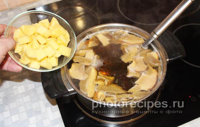 Суп из грибов рецепт с фото
